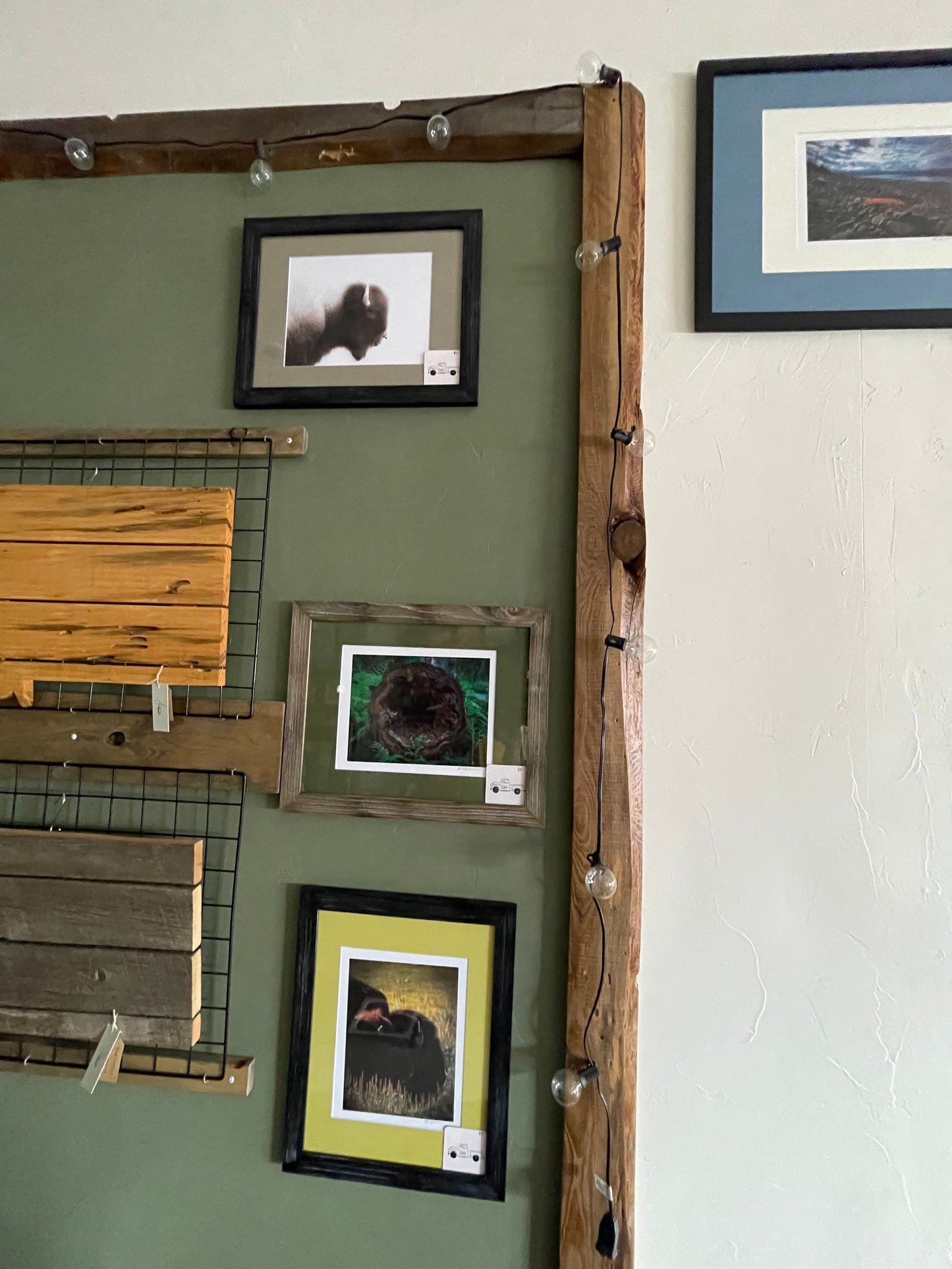 “Hermano” (Búfalo)