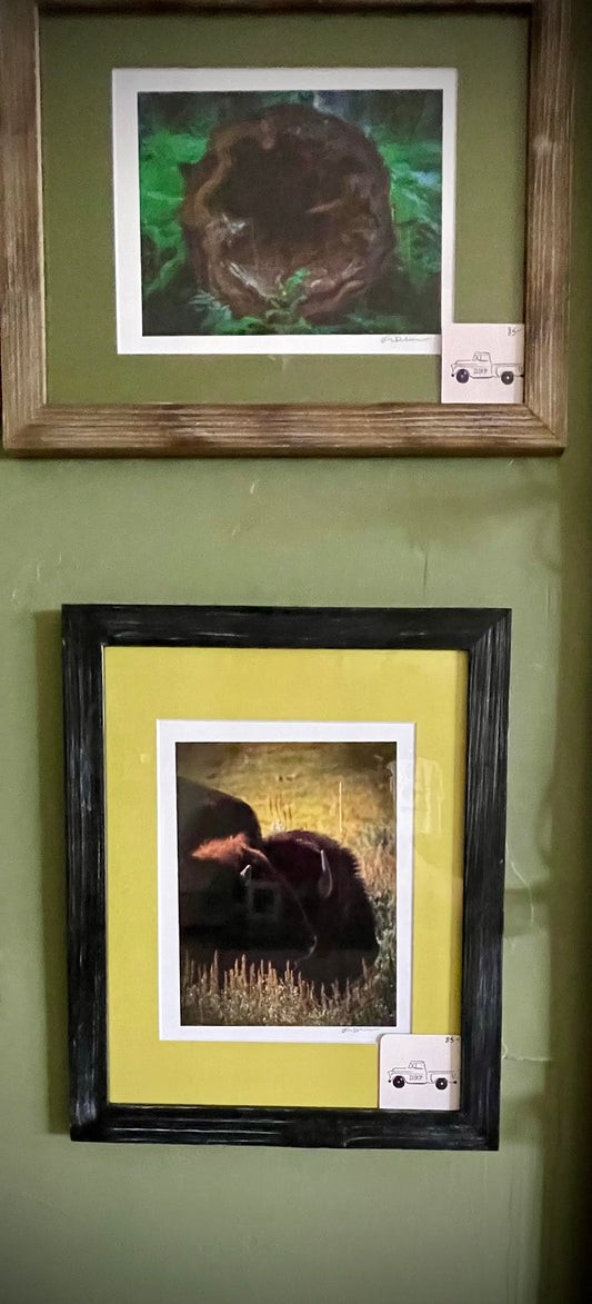 “Two Buffalo” (mom & baby)