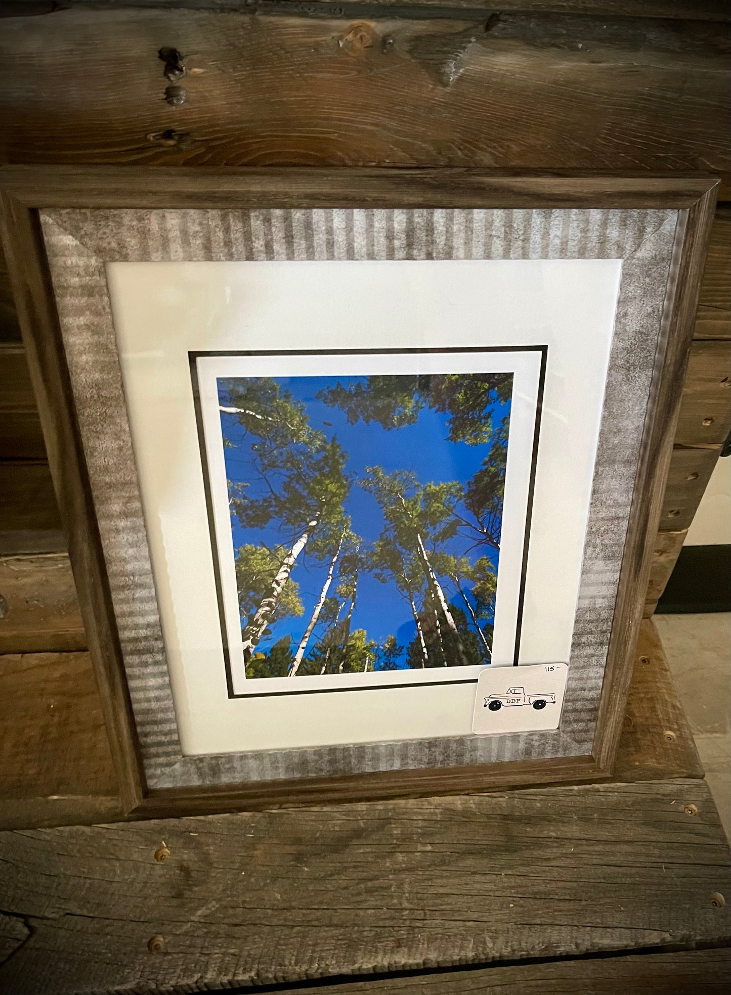 “Dentro de los árboles”