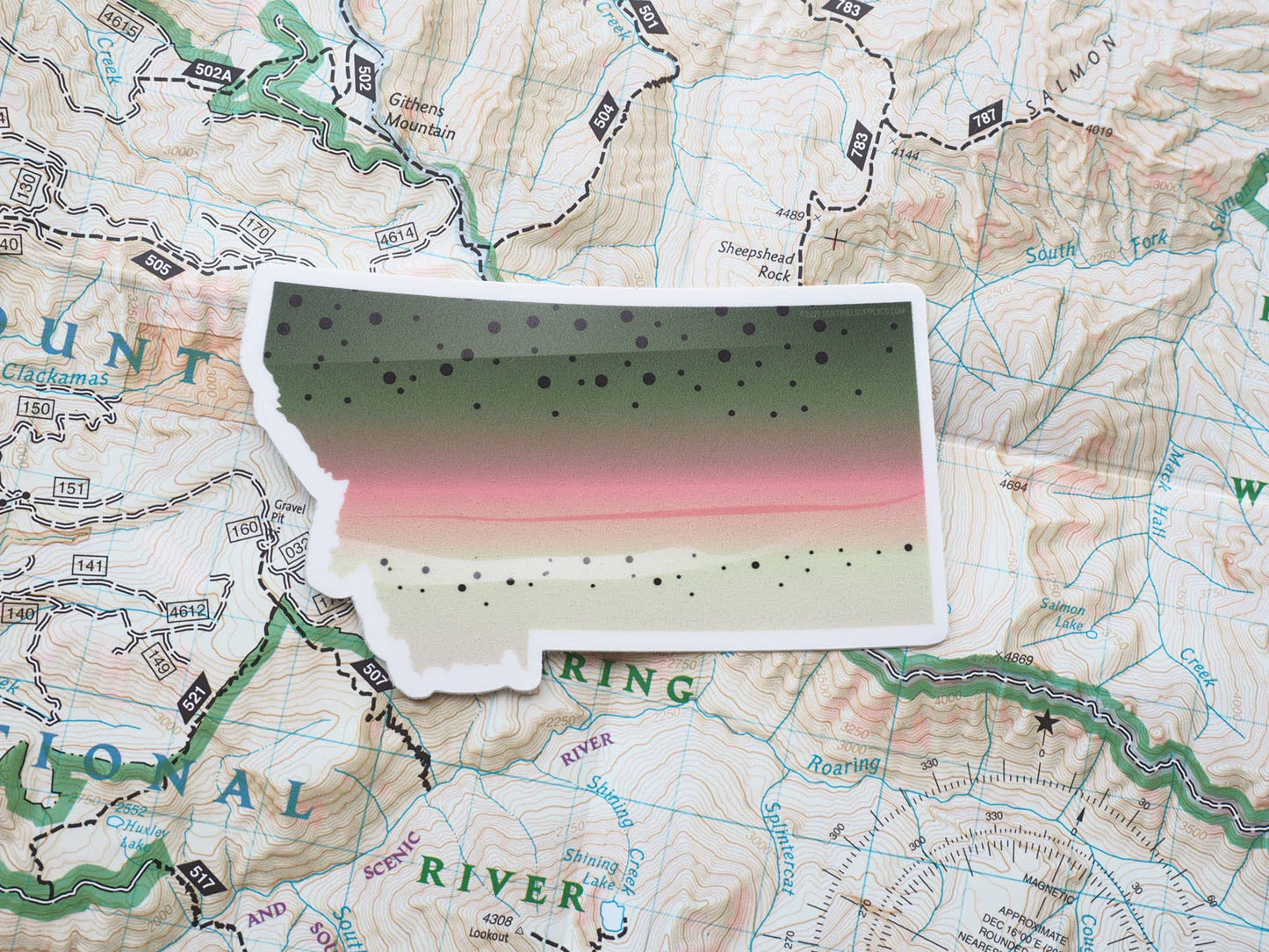 Rainbow Trout Montana Fishing Sticker - Fly Fishing Decal