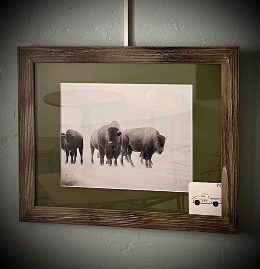 “The Herd”