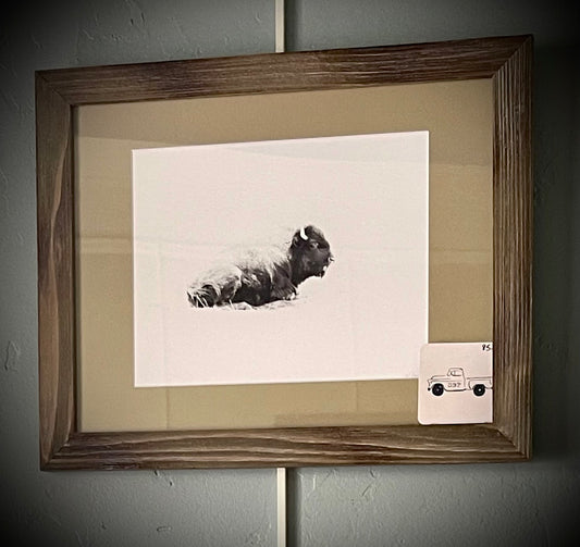 “Rest” (Laying Buffalo)