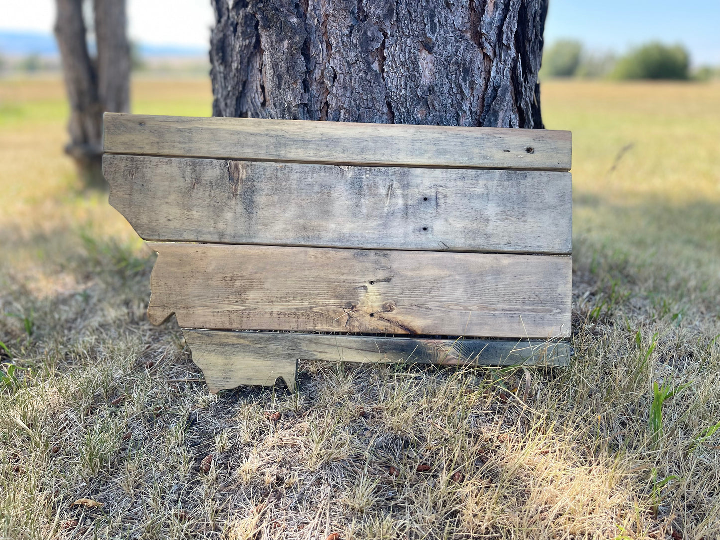 Letrero decorativo de pared "Montana" de madera con diseño rústico de North 89
