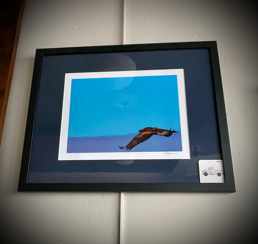 “Golden Eagle”