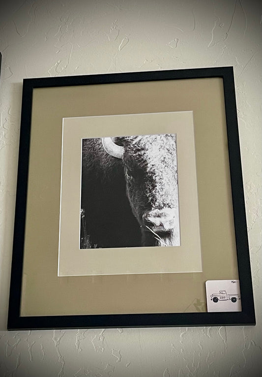 “Tatanka” (Big Buffalo)