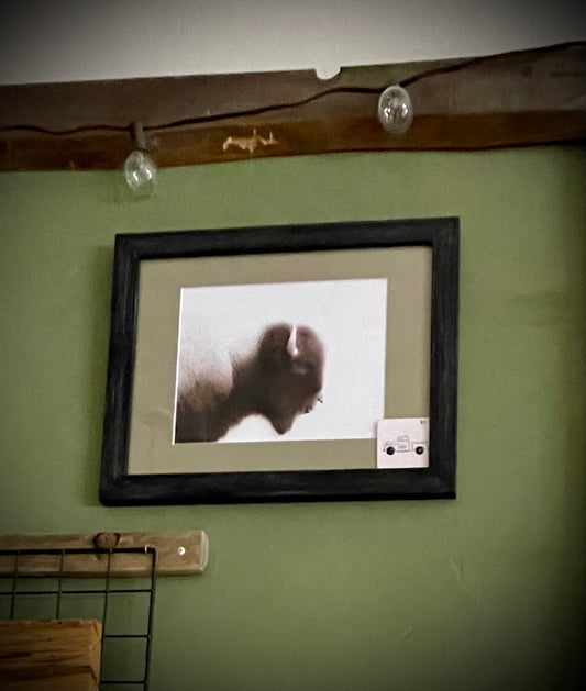 “Brother” (Buffalo)