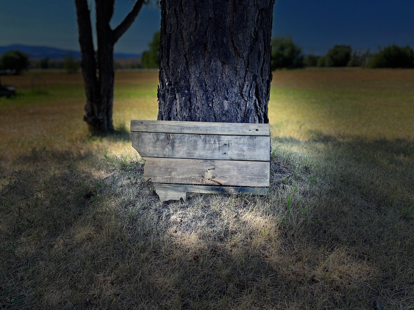 Letrero decorativo de pared "Montana" de madera con diseño rústico de North 89