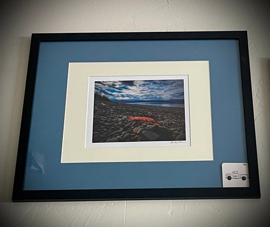 “Canyon Ferry Leaf”