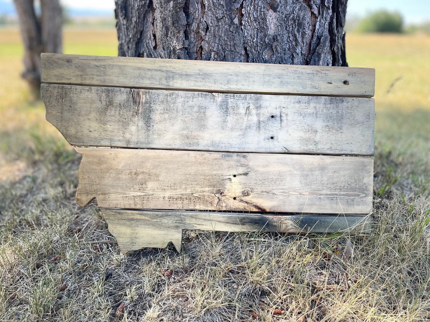 Letrero decorativo de pared "Montana" de madera con diseño rústico de North 89